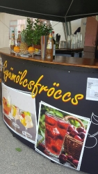 froccsterast_4